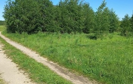 I przetarg na sprzedaż nieruchomości gruntowej w Kurzętniku 1